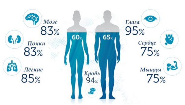 Так ли важна вода на самом деле?